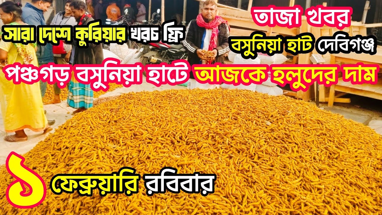 ১ ফেব্রুয়ারি ২০২৬ | পঞ্চগড় বসুনিয়া হলুদের পাইকারি বাজার | শুকনা হলুদের পাইকারি বাজার |