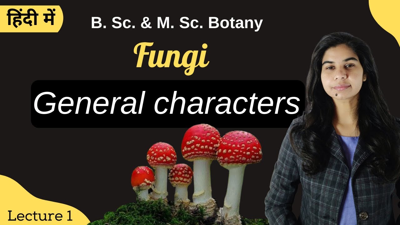 Fungi || General characters || in Hindi || Botany || B. Sc. & M. Sc.