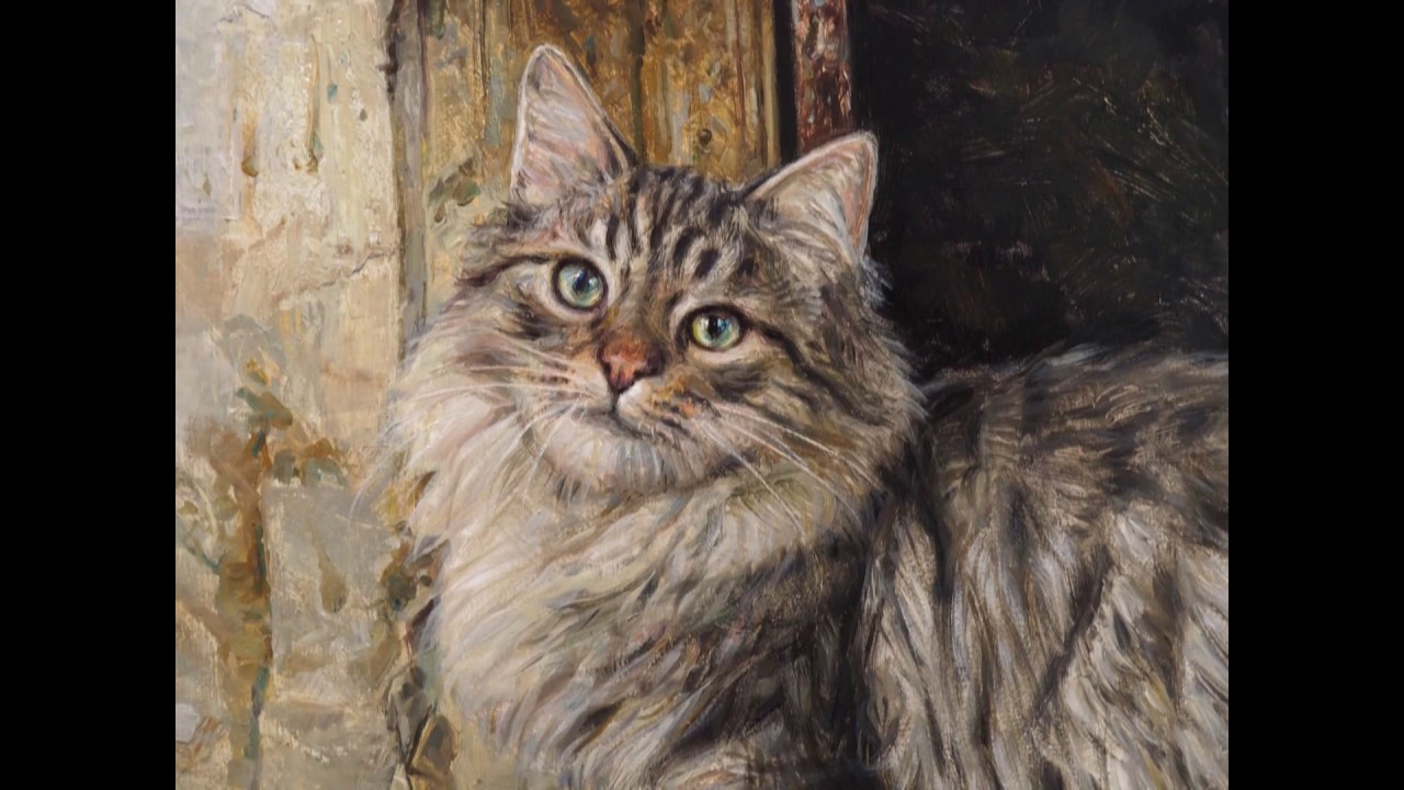 Gato al óleo. Oil painted cat