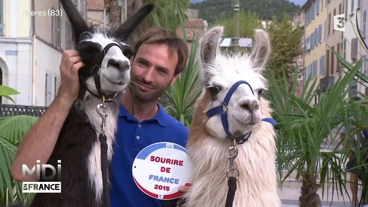 ANIMAUX & NATURE : Dans le Var, les lamas sont de vrais compagnons de vie