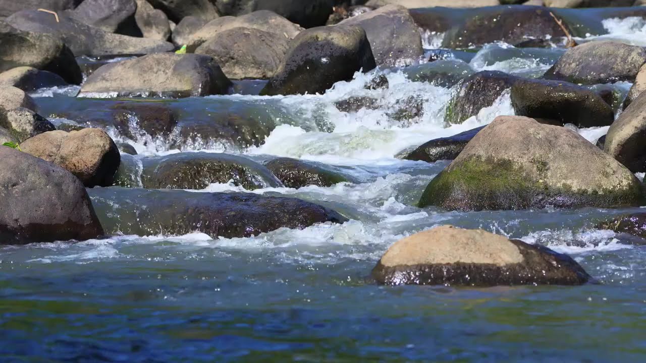 Coding & Programming Music: Steady River Flow for Focus
