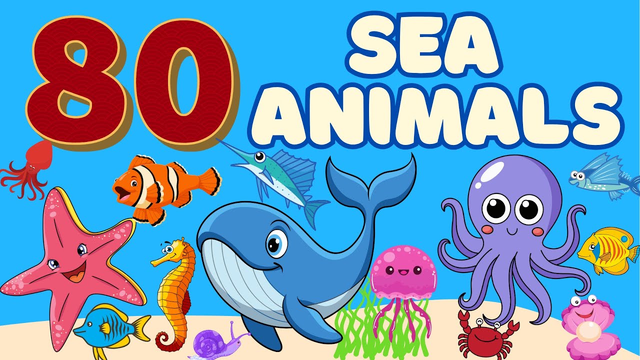 80 Amazing Sea Animals for Kids | Ocean Learning Adventure | Educational Video
