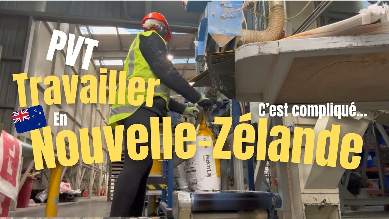 NZ Diary 🇳🇿 | Comment trouver du travail en PVT Nouvelle-Zelande ? La dure réalité. ￼