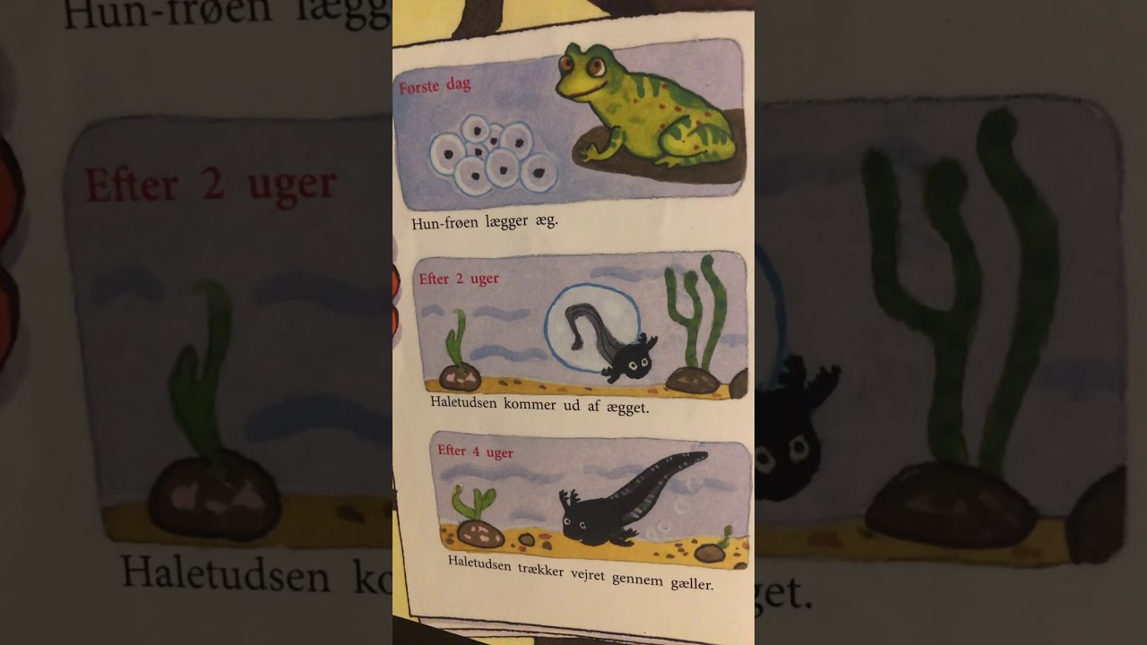 En fagtekst om fr&oslash;er