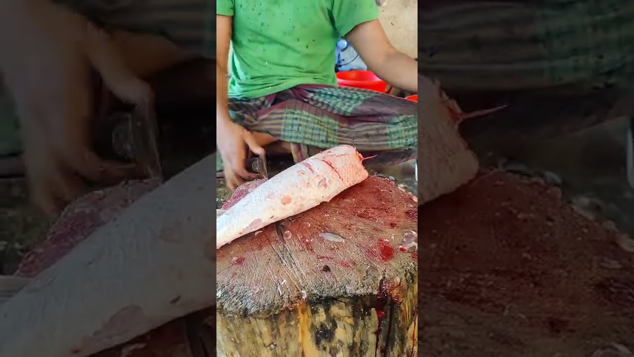 Superb Cutting Skills | Amazing Mrigal Fish Cutting Skills Like a Boos!!! Part-27 #shorts