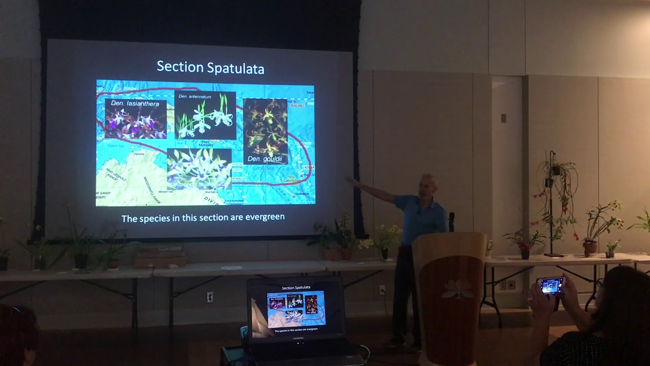 Decoding Dendrobiums With Mark Reinke Brought To You By I Kill Orchids