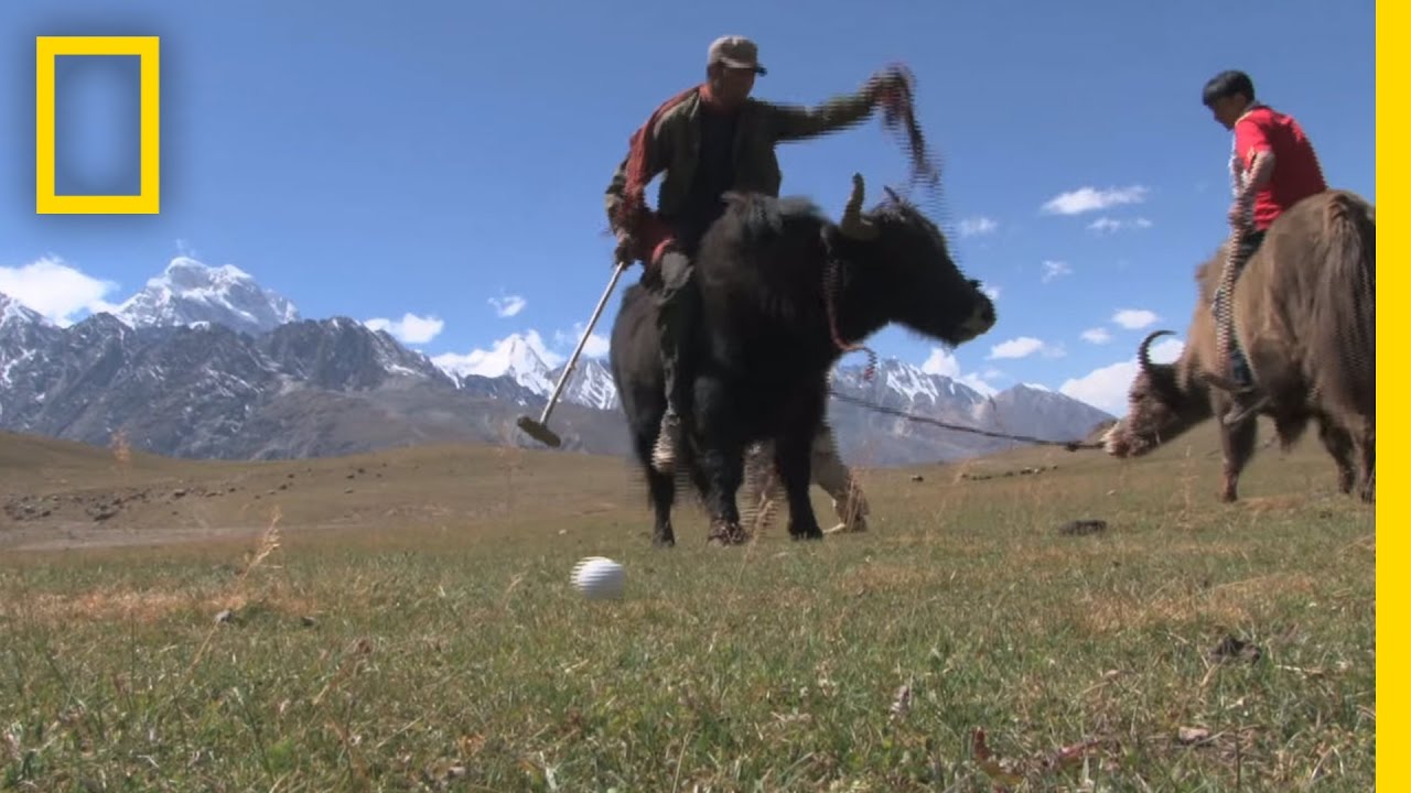 Yak Polo Draws Tourists to Remote Pakistan Village | National Geographic
