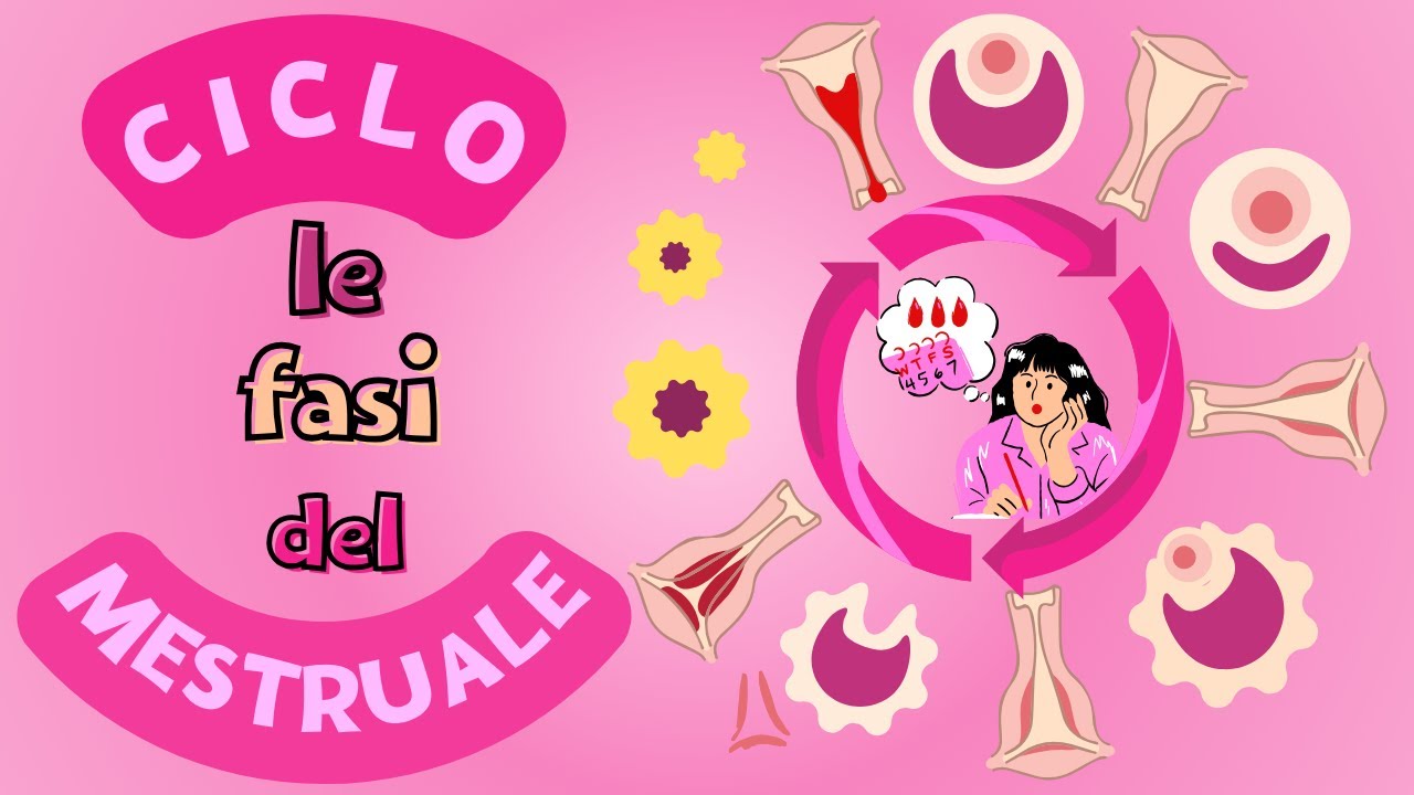 👩🏻Le Fasi del Ciclo Mestruale (creato con Spreaker)