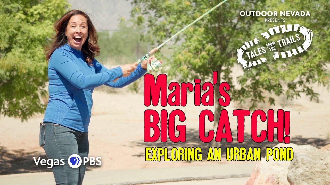 Urban Fishing - Southern Nevada’s Ponds   | Tales from the Trails