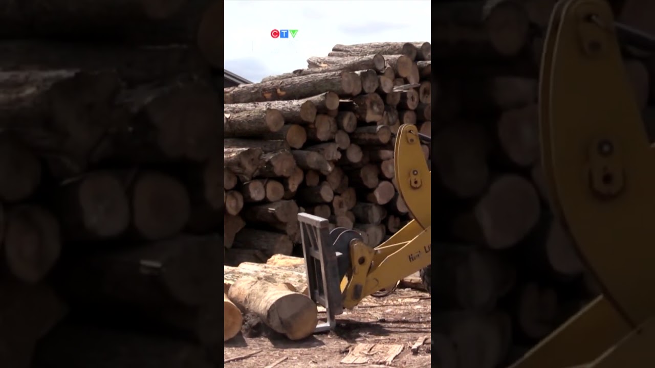 Amid U.S. tariff uncertainty, South Bruce sawmill embarks on multimillion dollar modernization