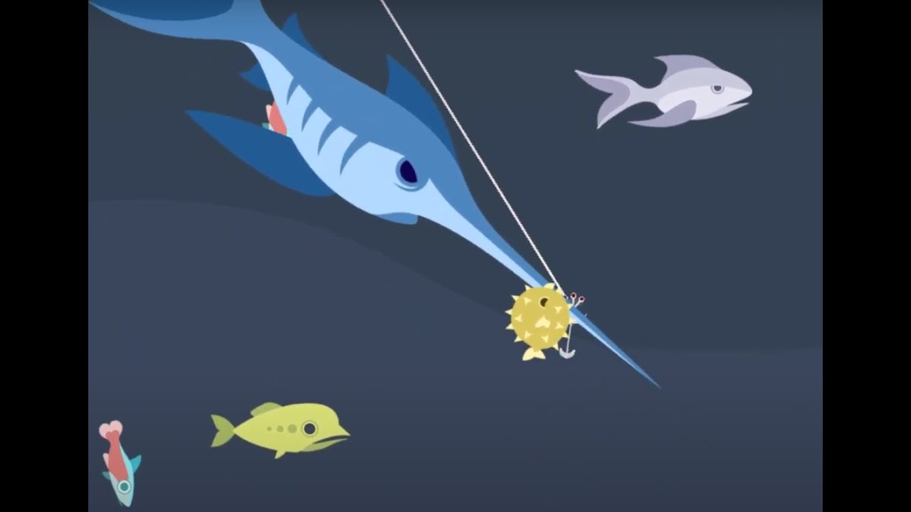 how to catch swordfish in cat goes fishing