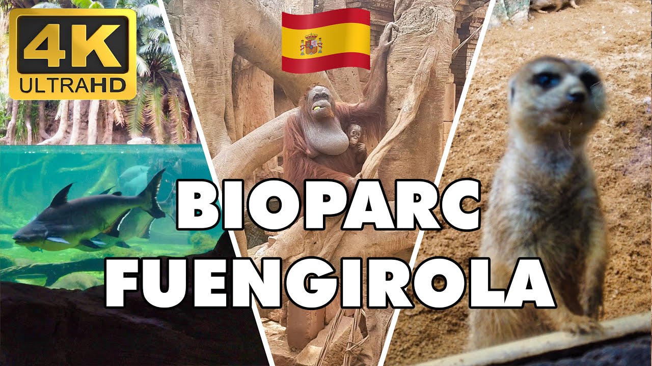 Bioparc Zoo Fuengirola 4k Video ►🌞 Costa del Sol Spain ►
