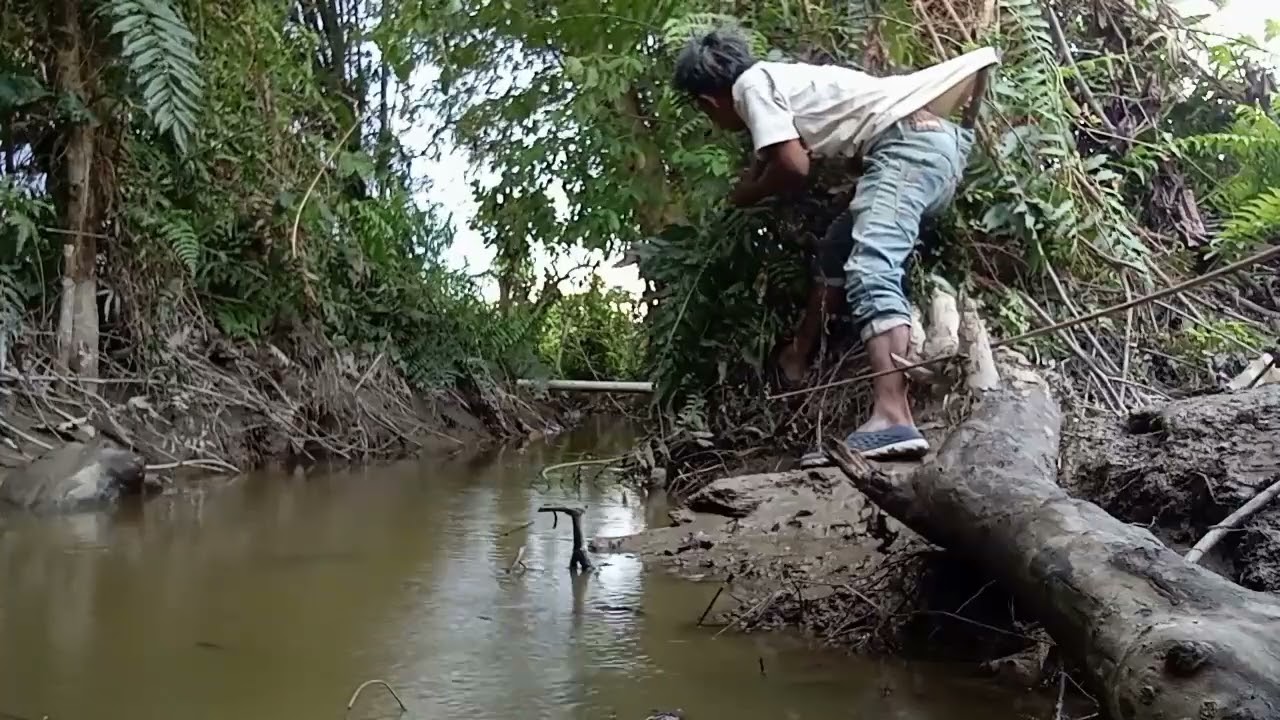 Tempat mancing ikan Toman yang mantap 