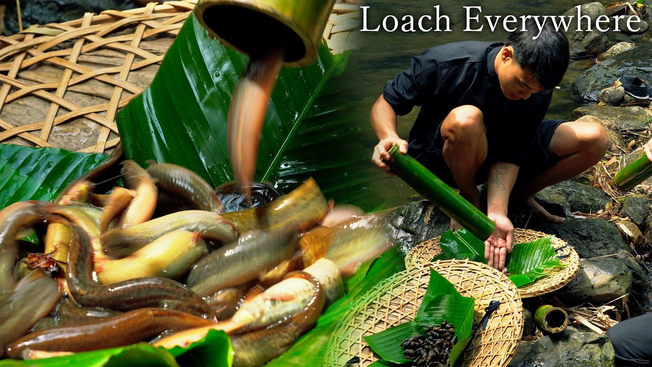 Catching Wild Loach with a Traditional Trap & Foraging River Snails