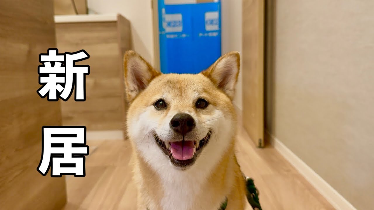 お引っ越し完了、ふたり暮らしが始まりました。
