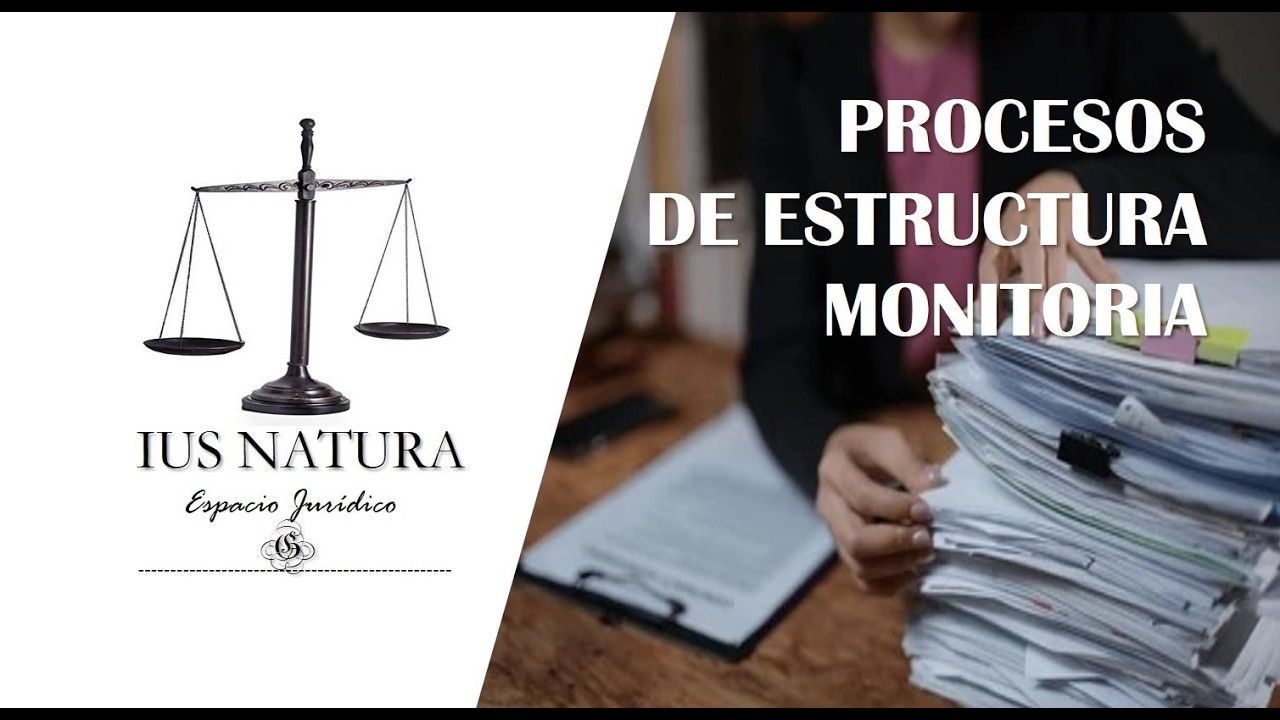 PROCESOS DE ESTRUCTURA MONITORIA