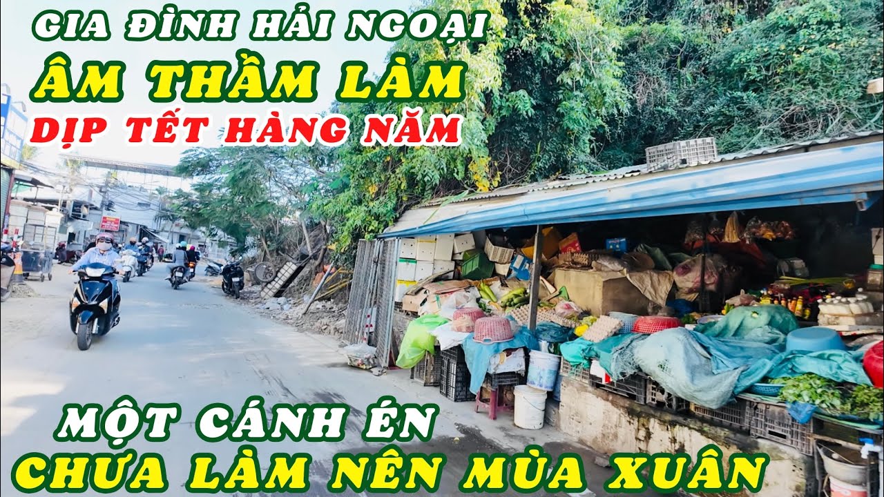 Gia Đình Hải Ngoại Làm Điều Nay Hàng Năm Dịp Tết Về. Một Cánh Én Nhỏ Hy Vọng Lan Tỏa Để Tạo Mùa xuân