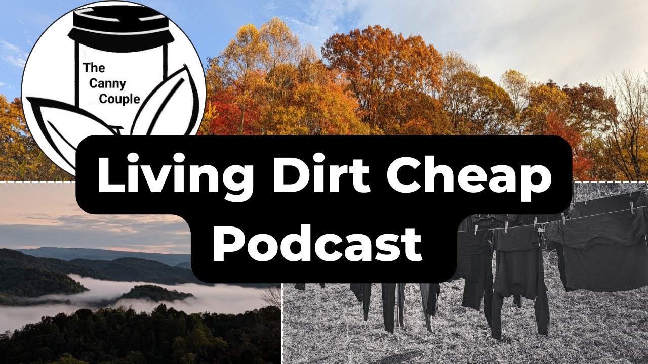 Episode 5 - Boredom Spending Is Killing Your Budget - 7 Ways To Stop Online Impulse Buying