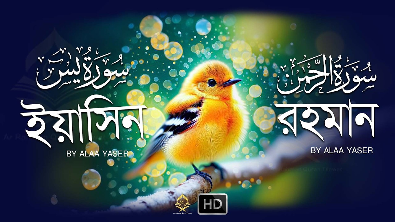 কুরআন তেলাওয়াত ২০২৪ - সূরা ইয়াসিন এবং সূরা রহমান । আলা ইয়াসির । SURAH YASIN AND AR RAHMAN RECITATION