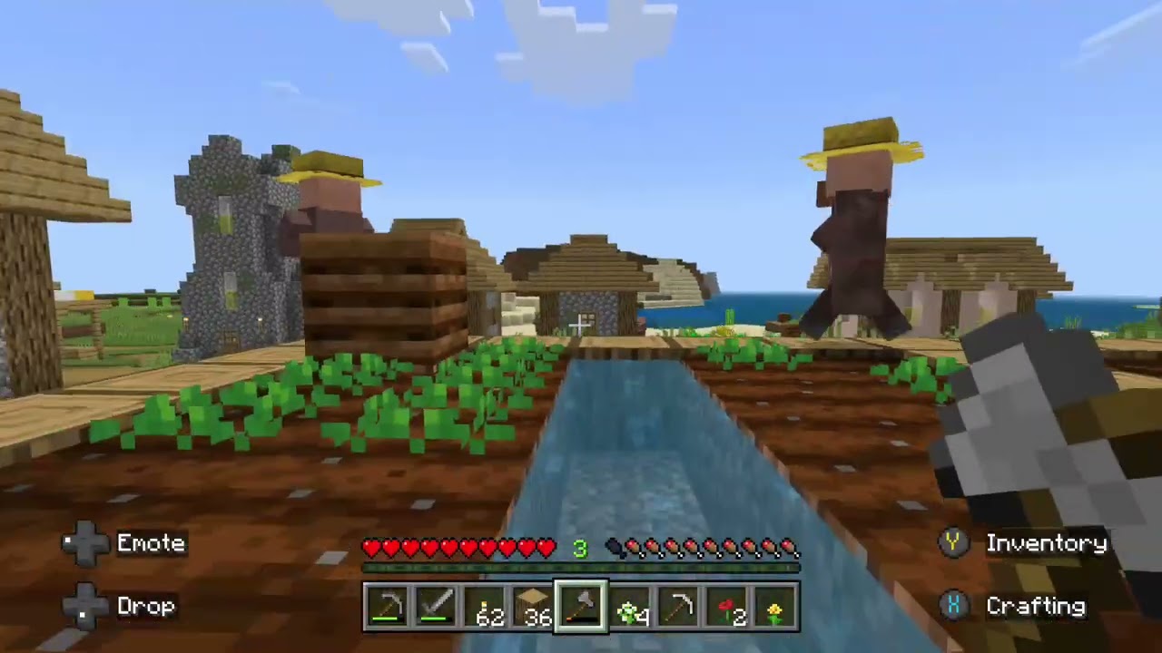 Minecraft  #4