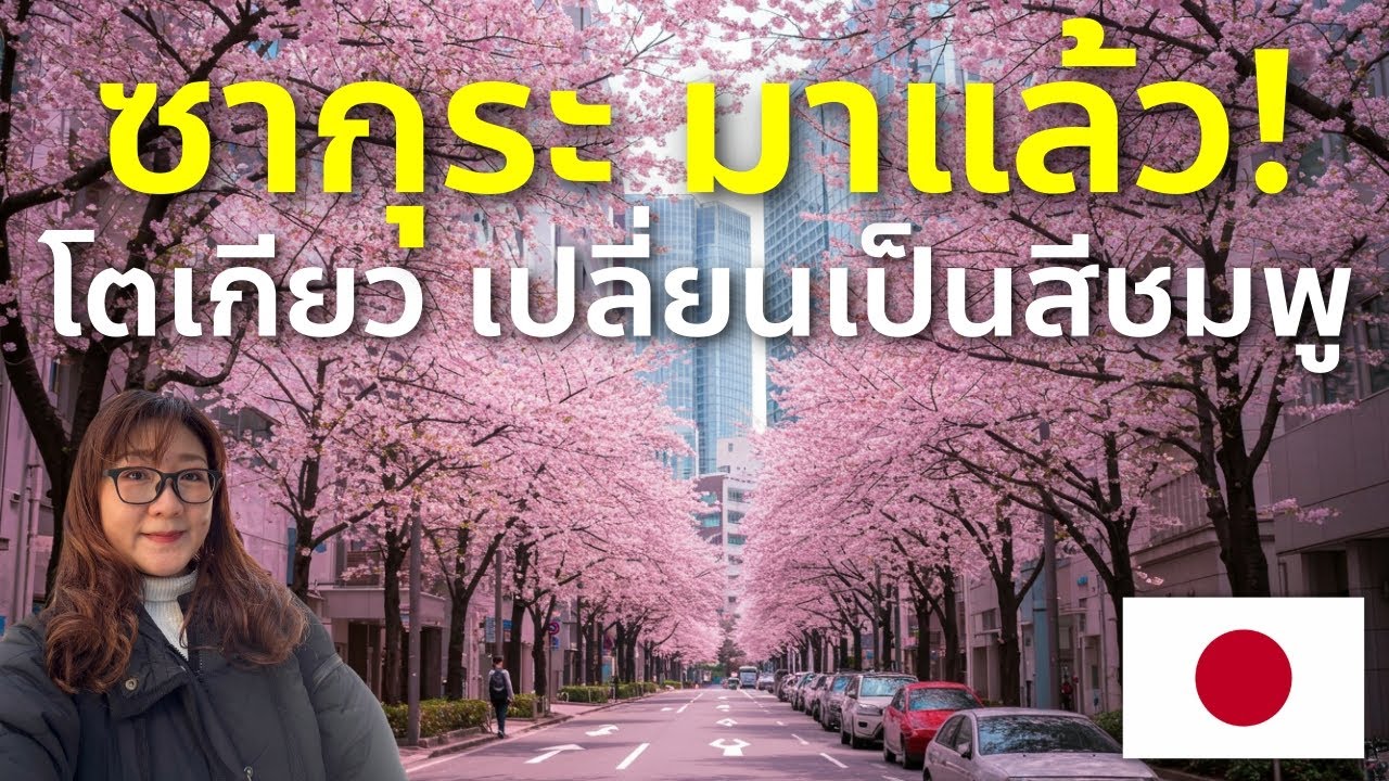 เที่ยวญี่ปุ่น ถนนซากุระสีชมพูใจกลางโตเกียว นิฮงบาชิบรรยากาศสุดโรแมนติก ห้ามพลาด Tokyo Sakura