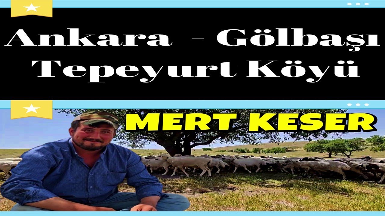 KOYUNLAR KAYISI AĞAÇLARI'NIN ALTINDA - PATATESLİ PİLAV - MERT KESER VE ARKADAŞLARI