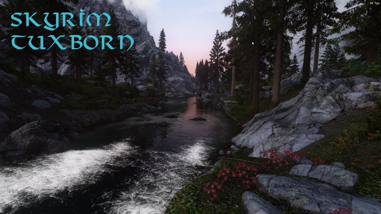 Skyrim Tuxborn: A Steamdeck modlist
