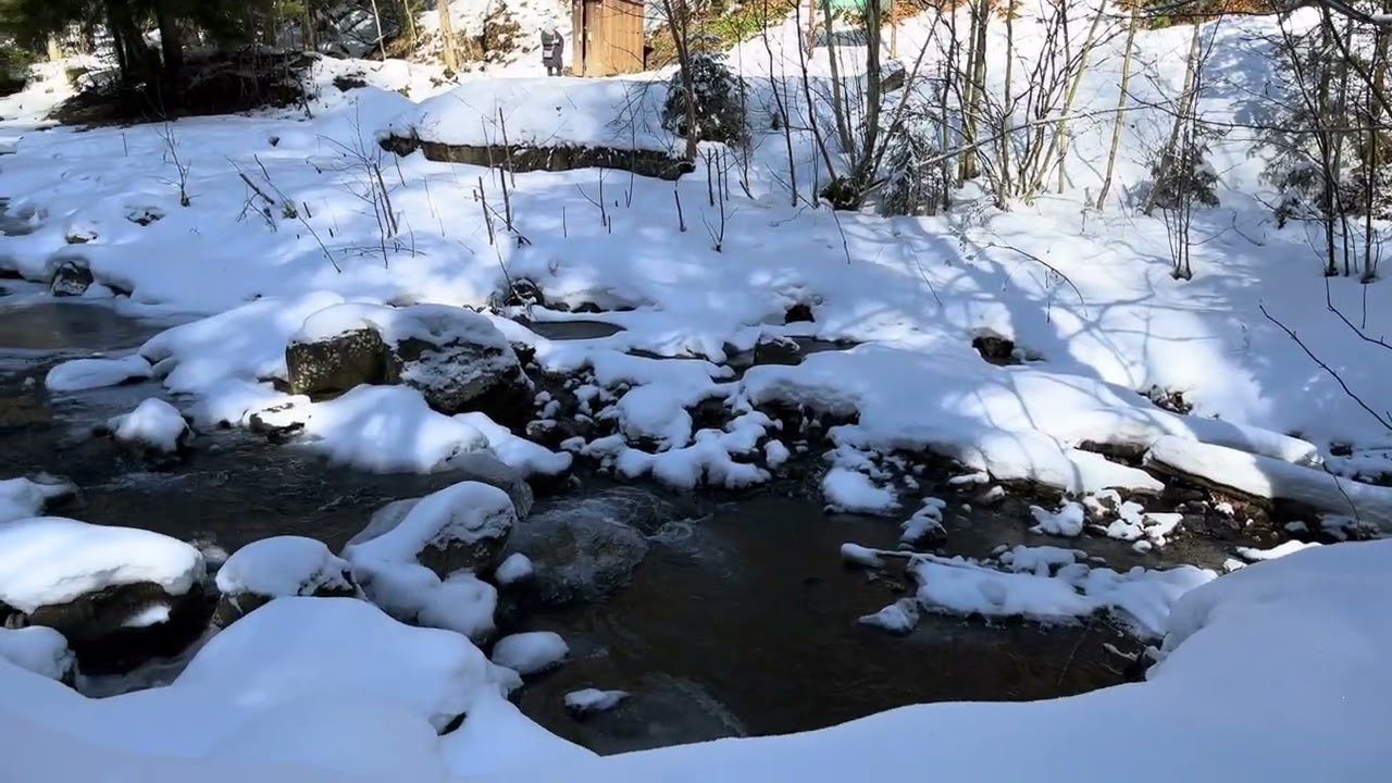 Ukraine Carpathian Mountains River Sounds of Nature Україна 