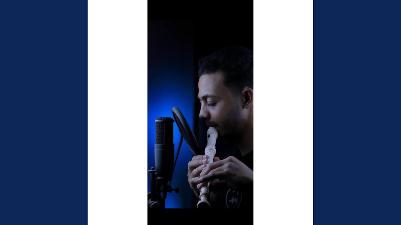 Baby Stop (Recorder Beatbox)
