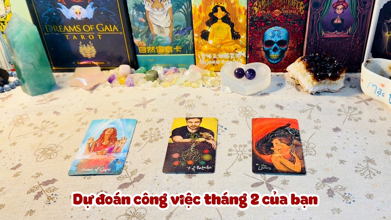 Tarot: Dự đoán công việc tháng 2 của bạn | Chọn 1 tụ bài @moctarot