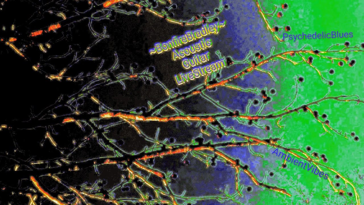 ~BonfireBradley~ Crazy Wild Acoustic Guitar Live! #PsychedelicBlues#AmbientVibes#SingerSongwriter#