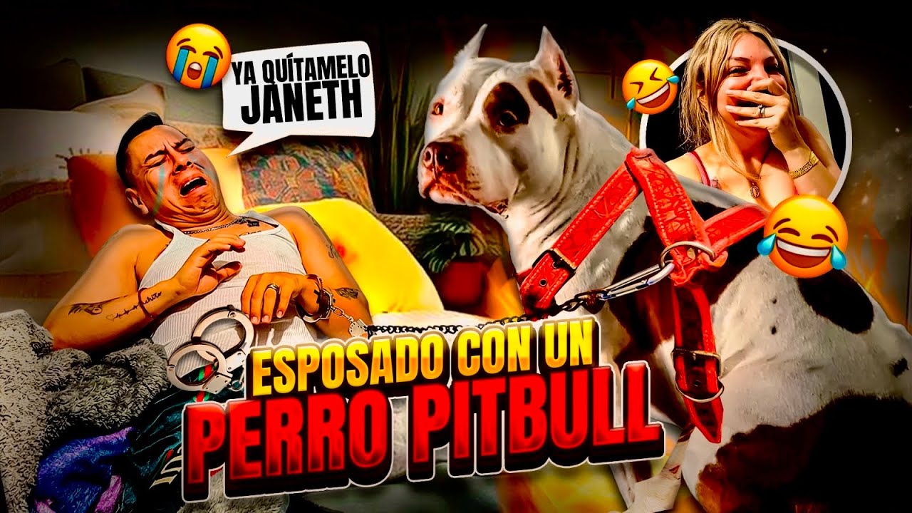 ESP0S3 AL POLITENIS CON UN PERRO 🐕 PITBULL’🤭// ahora si chill0’ el politenis😅