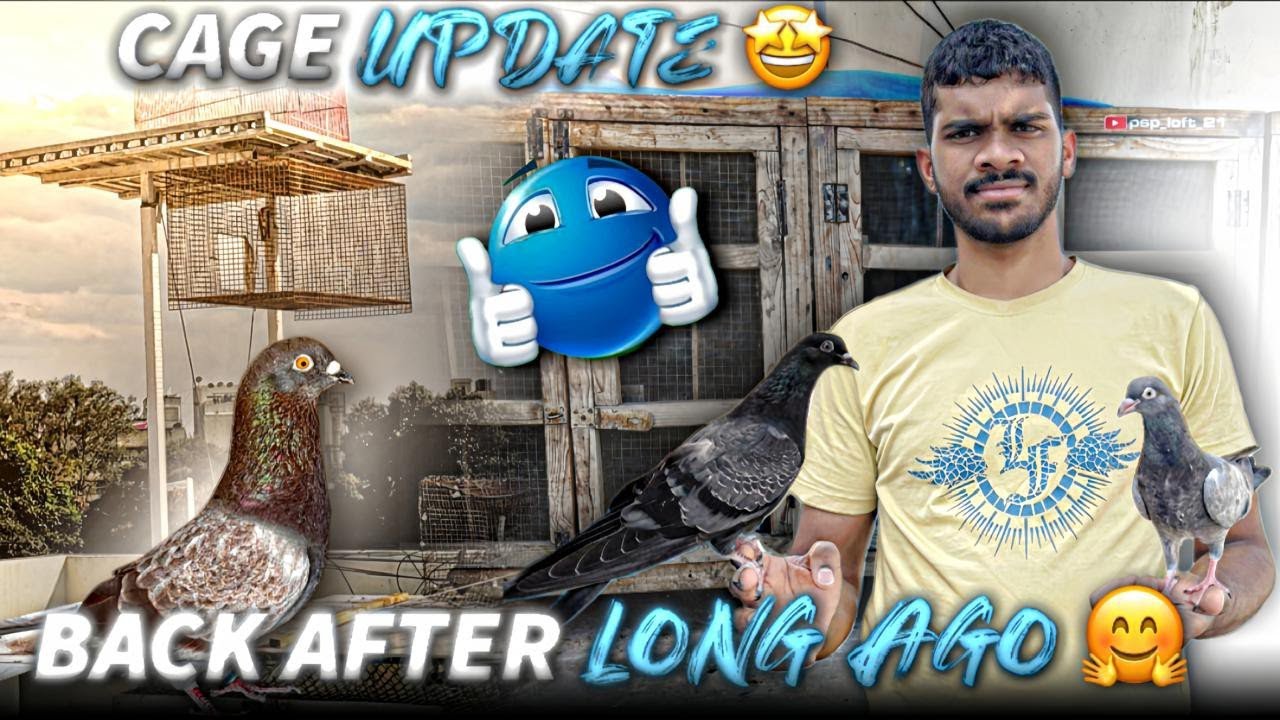 Full cage update and Free fly 2026 🏆🕊️😱
