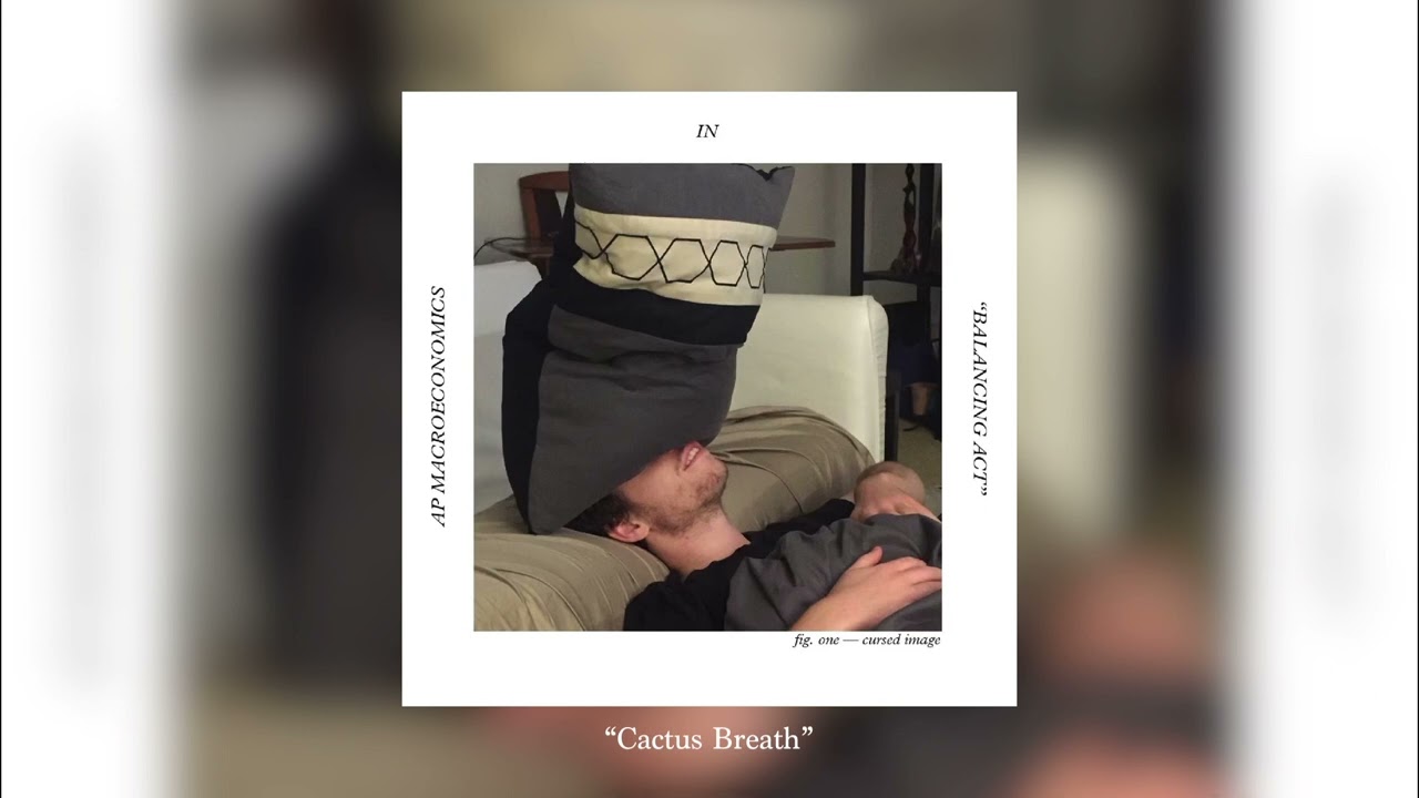 AP Macroeconomics - Cactus Breath