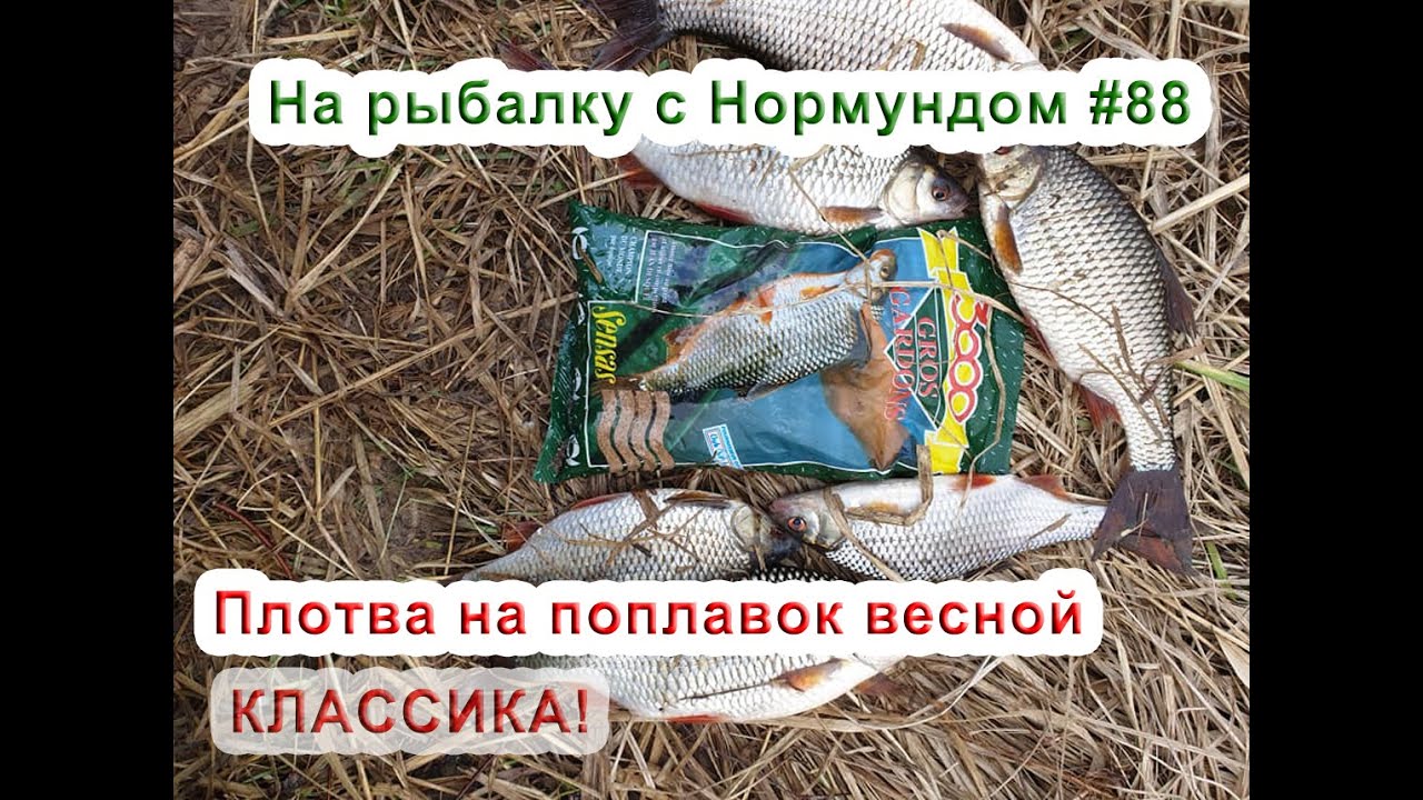 Плотва на поплавок весной - КЛАССИКА! На рыбалку с Нормундом #88