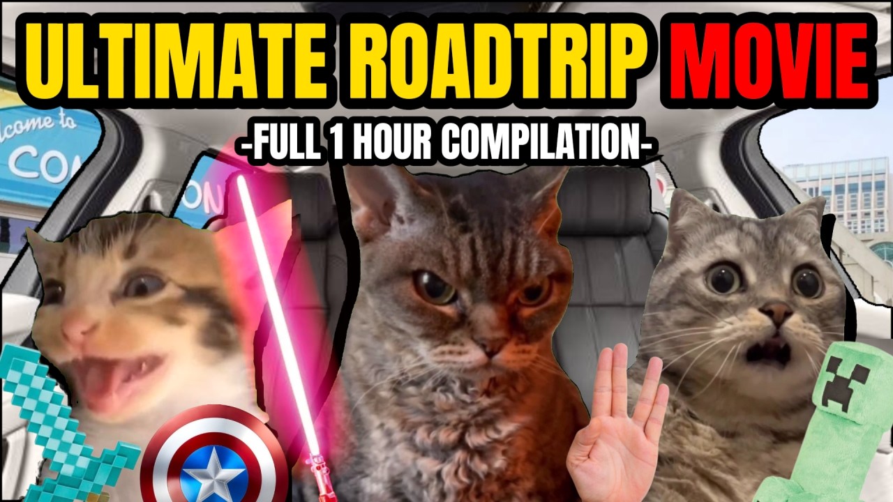 CAT MEMES: THE ULTIMATE COMIC CON ROADTRIP FULL 1 HOUR COMPILATION