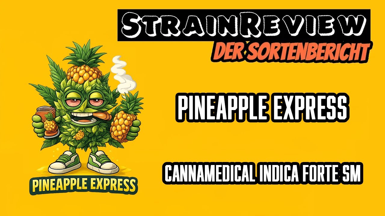 Der medizinische Sortenbericht - Pineapple Express - Cannamedical Indica Forte SM