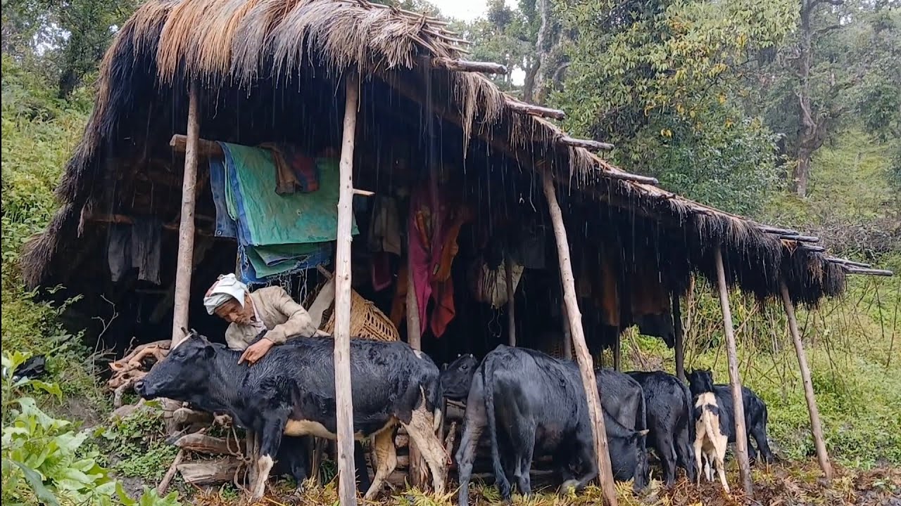 Best Life In  the Rin Seance nepali mountain village || village rin rular video || Must Peaceful 
