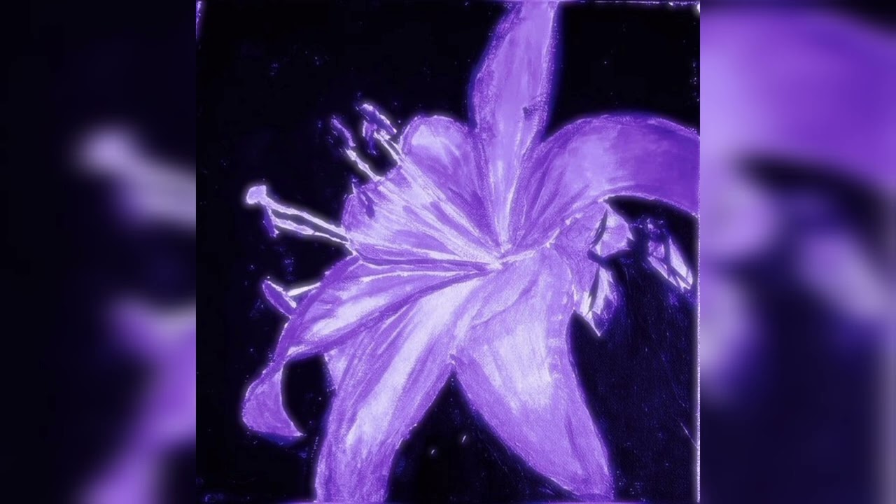 amethyst petal | beta