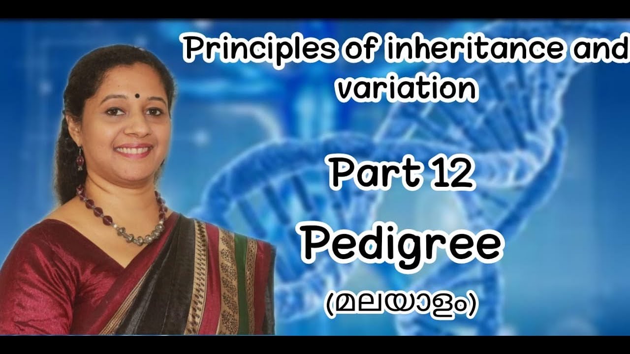 NEET:PRINCIPLES OF INHERITANCE AND VARIATIONS:PART12:PEDIGREE ANALYSIS