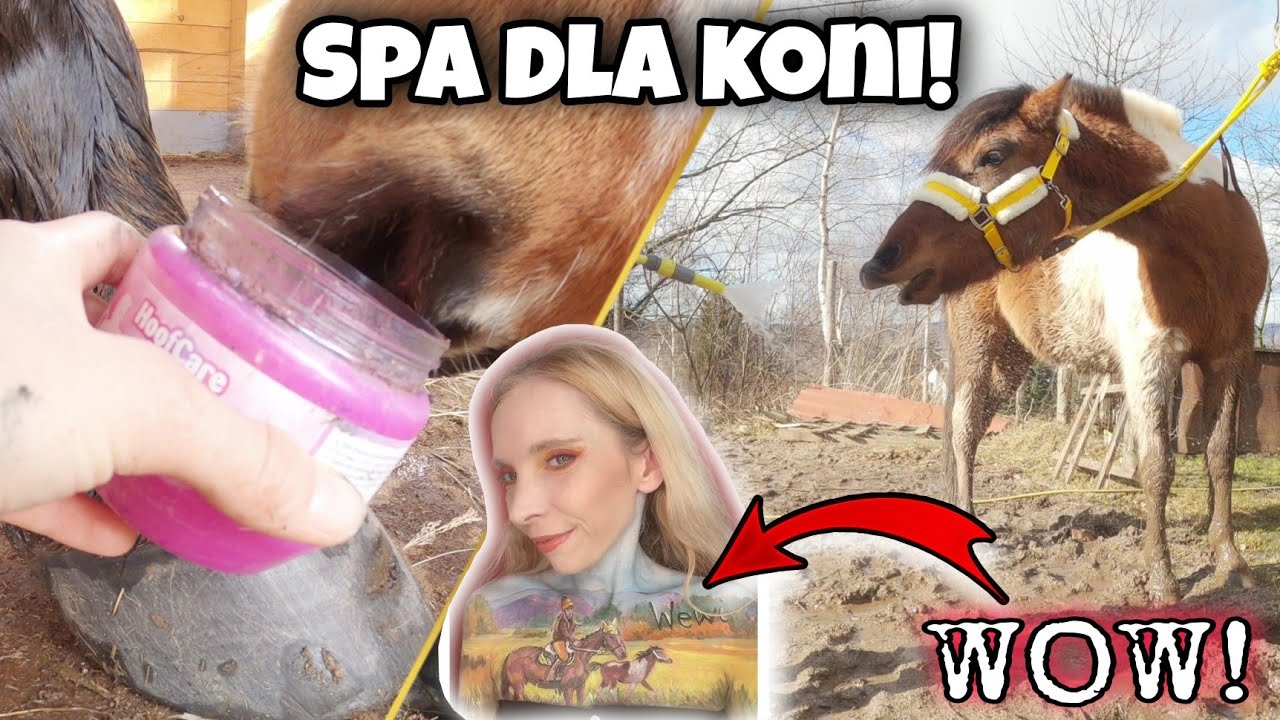 Końskie spa!