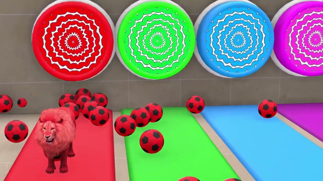 Funny 3D Slide Game Where Animals from the Zoo Compete