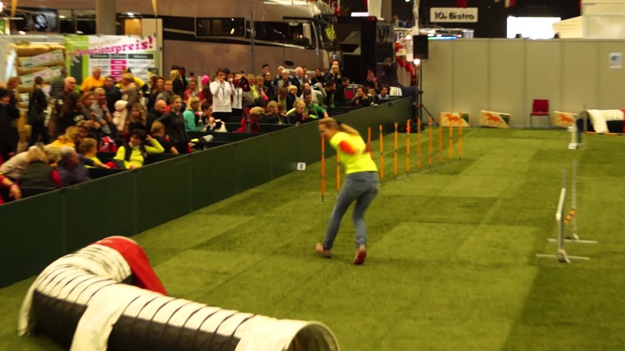 Malou AAWC 2015 Agility friday