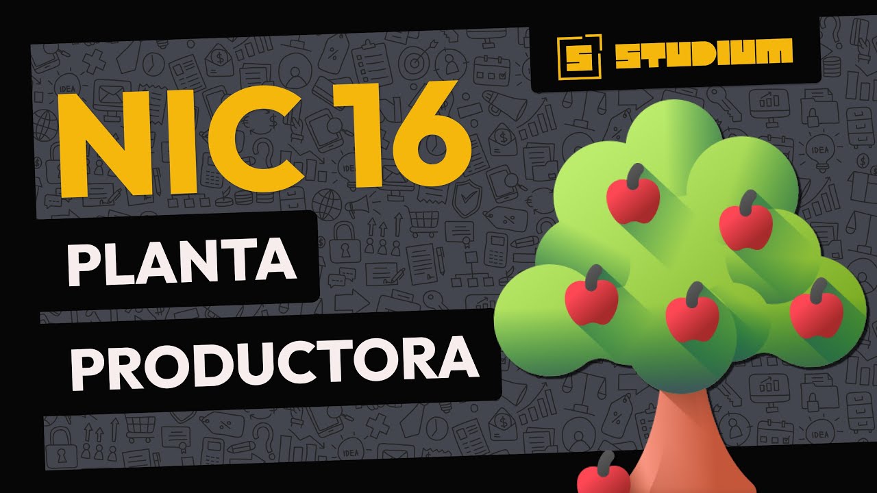 Qué es una PLANTA PRODUCTORA? | NIC 16 PROPIEDAD, PLANTA Y EQUIPO