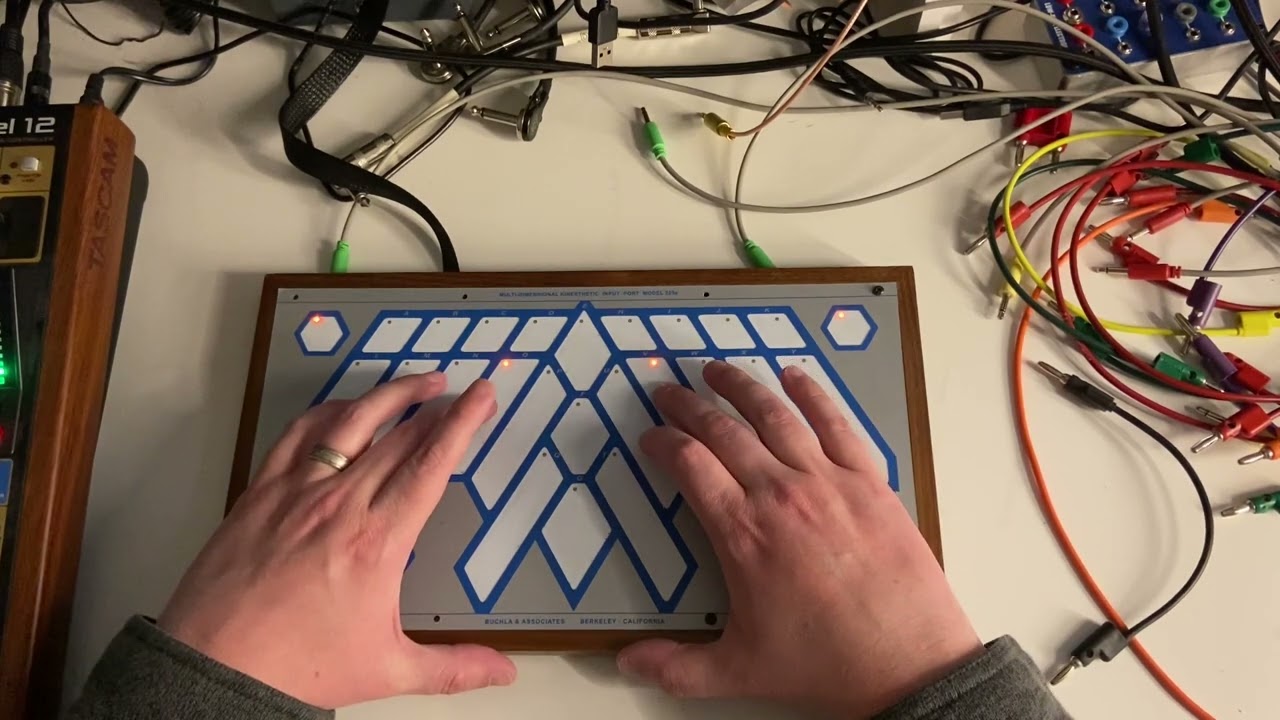 Buchla 223e &ldquo;Timbral Strokes&rdquo;