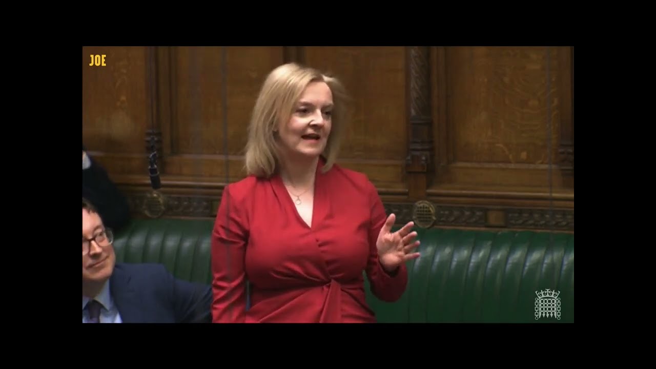 (almost) no context british politics (2024)