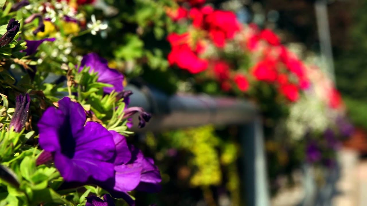 Georgian College International Centre Video