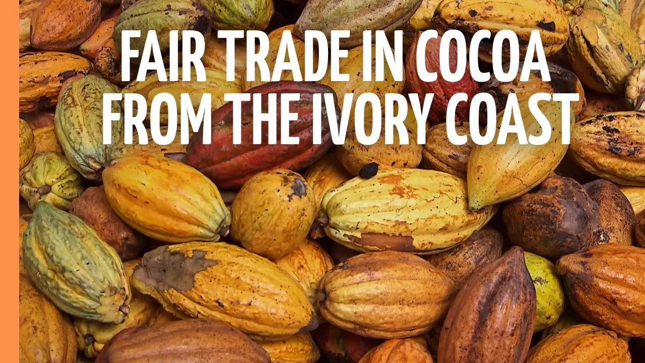 Fair trade in cocoa from the Ivory Coast | Full Documentary
