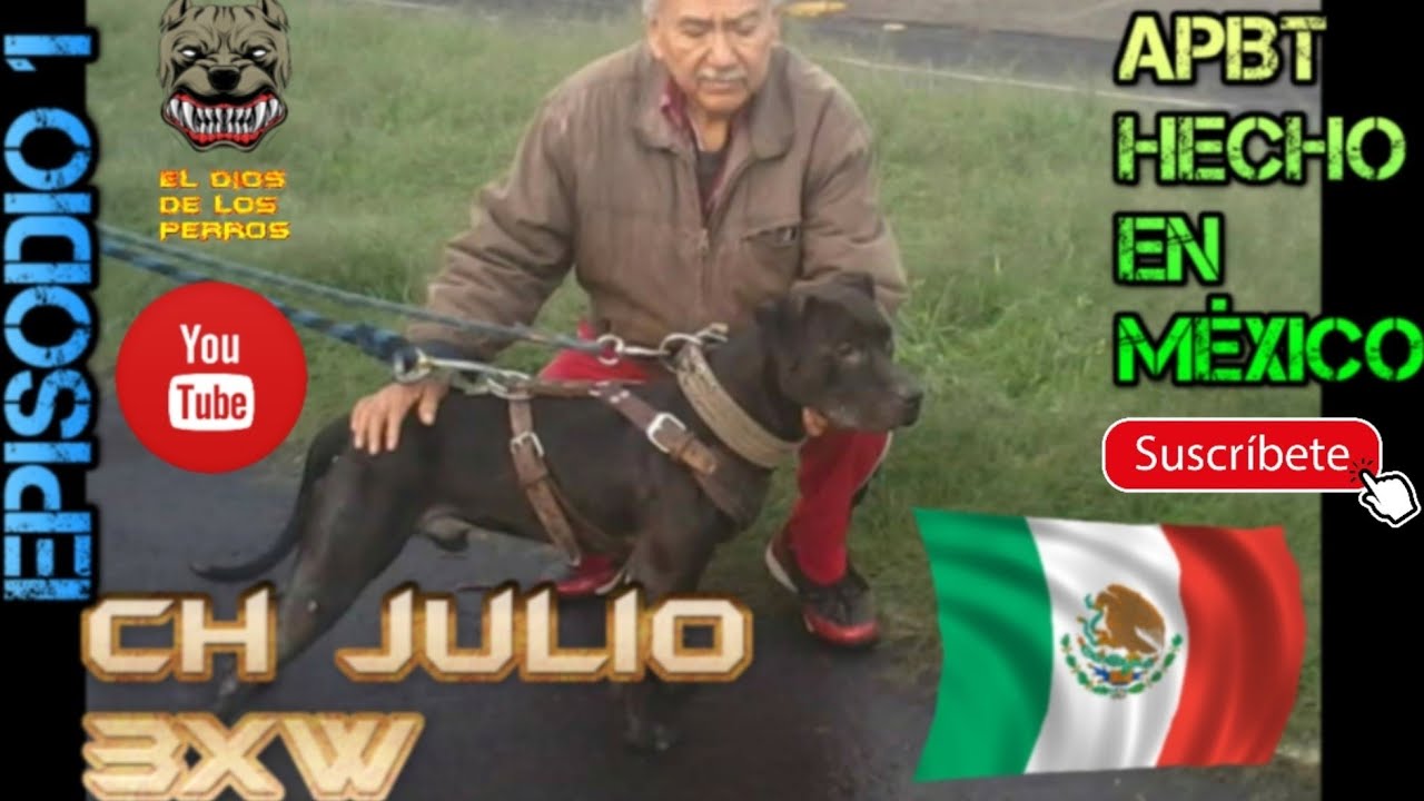 APBT - HECHO EN MÉXICO - EPISODIO 1