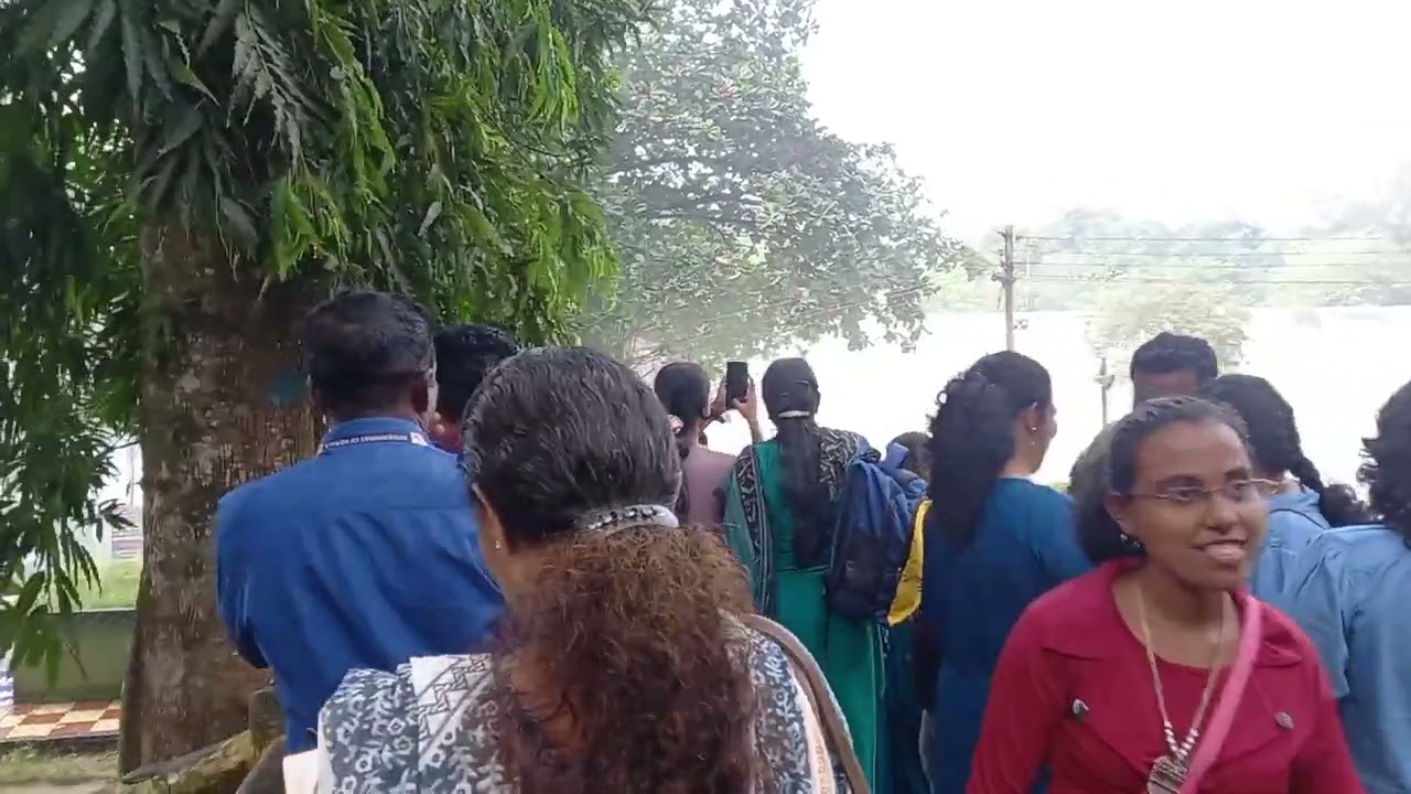 Thiruparappu Waterfalls
